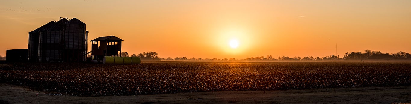 Amanecer en el campo