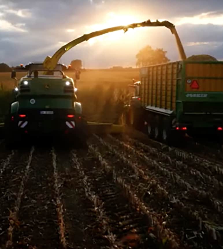 Equipos de Deere en un campo conduciendo hacia el sol