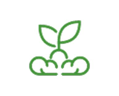 Fondo blanco con un ícono de planta germinando