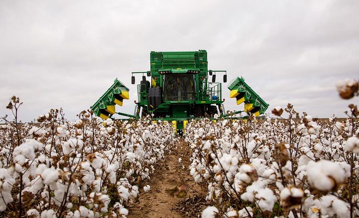 CP770 in the field