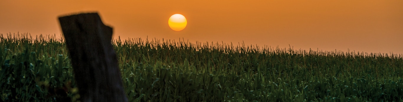 Máquinas e implementos agrícolas